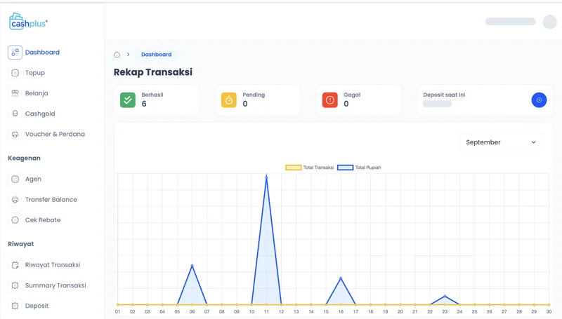 Agent dashboard: Agents see successful, pending and failed transactions, their deposit and the monthly trend in one view, with agent network, rebate and profit reports alongside.